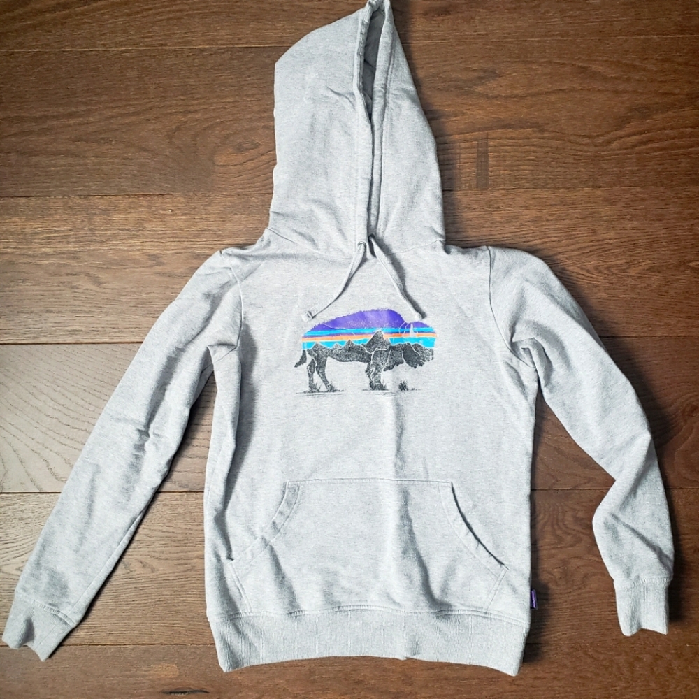 Patagonia Sweatshirt